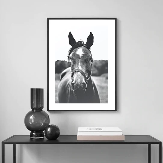Nordic Black and White Marine Photography Art Print – Sexy Nude Women