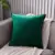 Holland Velvet Cushion Cover Bed Pillow Case For Sofa Car Housse De Coussin 45*45/50*50 Decorative Pillows  Nordic Home Decor 23