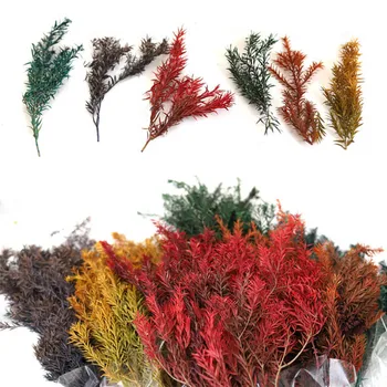 

Melaleuca Gold Flower Keep Fresh Artificial Dried Flowers Dried flower Artificial Decorations Festival Decoration LC