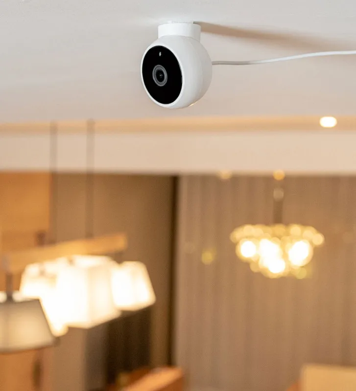 mishop_export_1583676902543