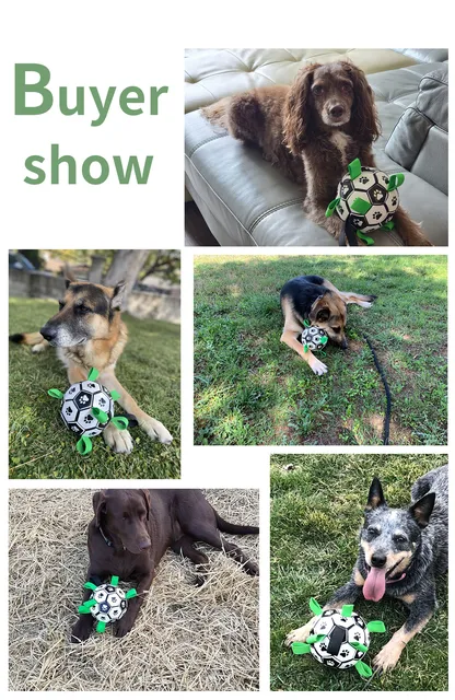 Why Do They Grab Balls At Dog Show