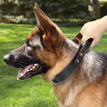 

Useful New Pet Dog Collar Integrated Short Elastic Dog Leash Reflective Training Collar Quick Control for Rescue Police Force