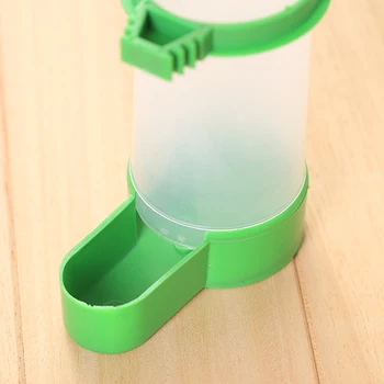 

Bird Automatic Feeder Feeding Birds Feeder