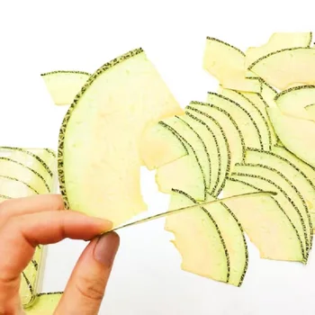 

5pcs Dried Pressed Mini Fruit Hami melon Slices Plant Herbarium For Jewelry Photo Frame Phone Case Bookmark Making DIY