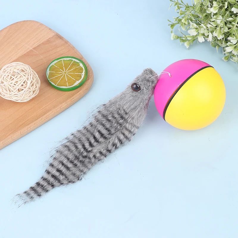 Pet Dog Cat Toy Weasel Motorized Funny Rolling Ball Beaver Balls Pet Toys Cat Products Accessories