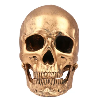 

Halloween Skull Realistic Looking Skull Human Skeleton Skull Resin Model