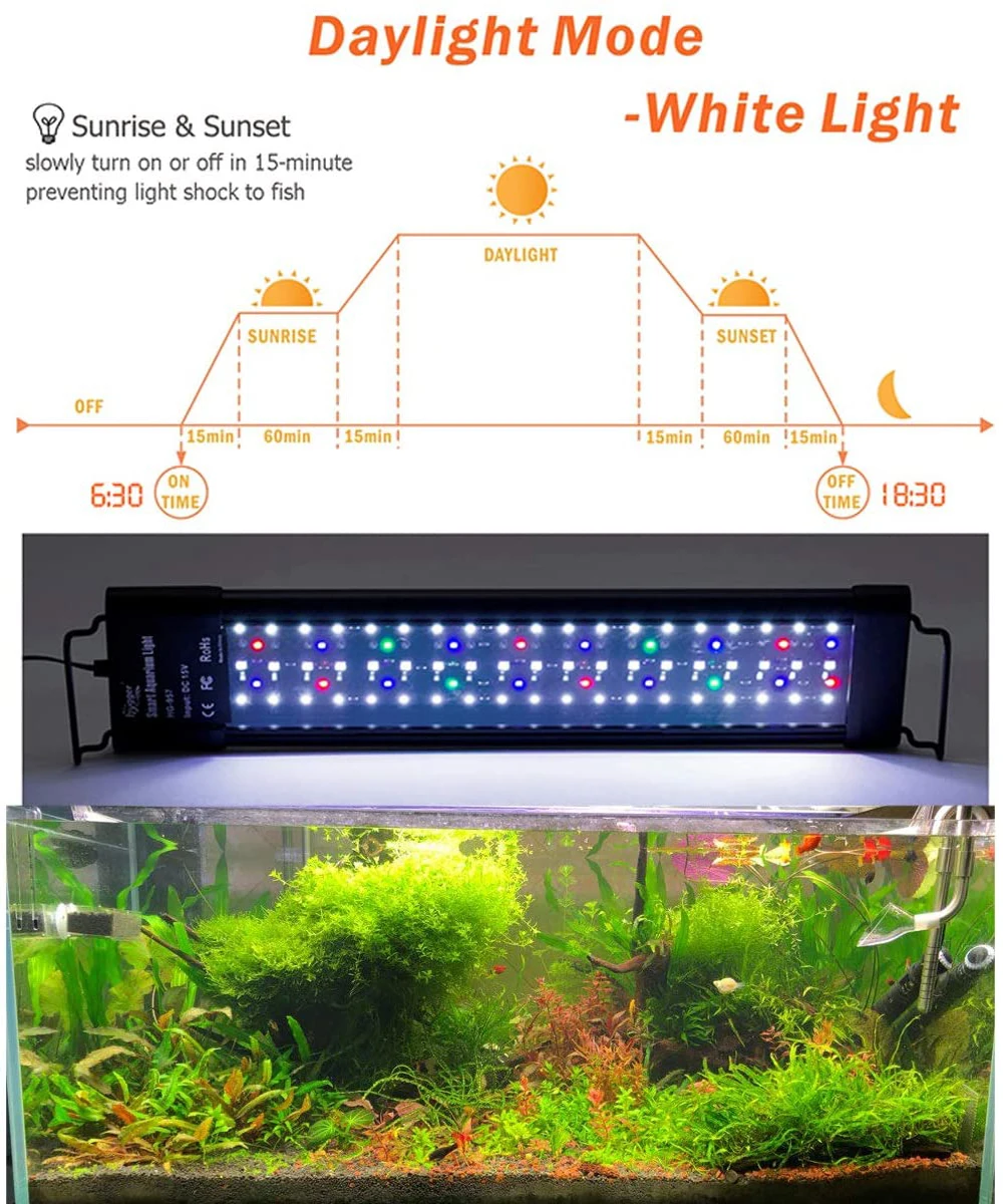 Wholesale Contrôleur de lumière LED pour Aquarium, 4 Modes, intensité du  lever/coucher du soleil, lampe pour Aquarium, minuterie ajustable,  luminosité réglable From m.alibaba.com