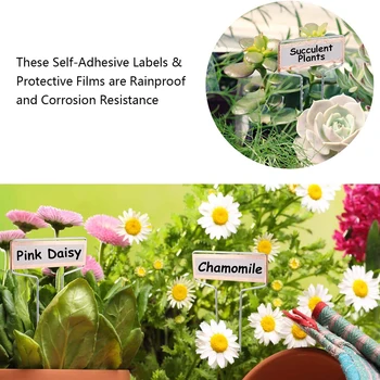 

Metal Labels Stainless Steel Sign Markers Plant Nameplate Tags Labeling
