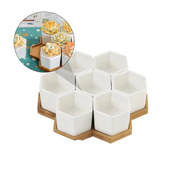 

1 Set Simple Succulent Holder Creative Hexagon Succulent Pot Tray Set