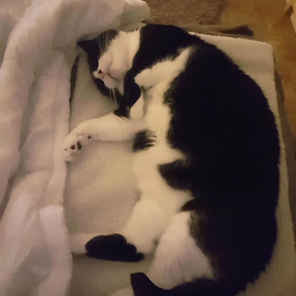 Super Soft Washable Self-Heating Mat for Dog