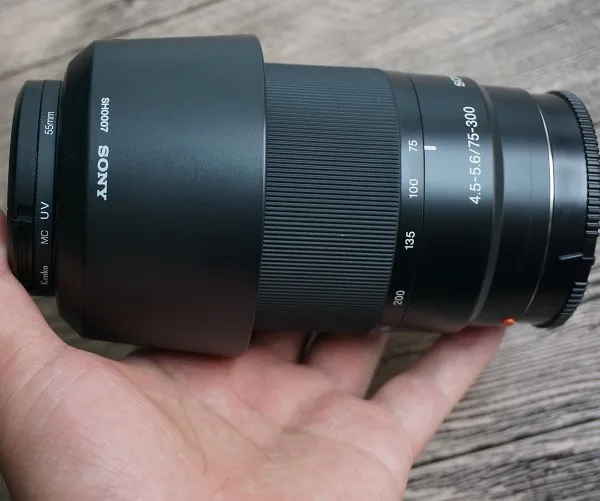 61x39roJrcL._SL1000_