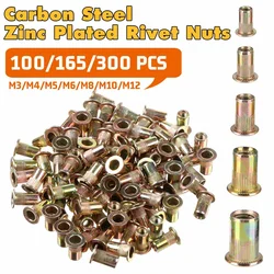 Kit d'assortiment d'écrous à tête plate en acier au carbone, 100/165/300 pièces, rivets filetés, M3 à M12 
