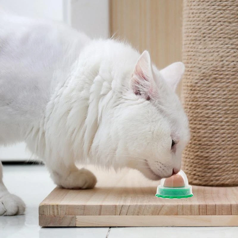 cat snack ball