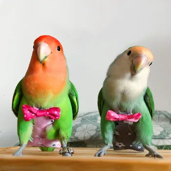 

Bird Diaper Parrot Diaper Fly Suit Collar Parrot Costume Parrot Clothes For Parrot Clothes Bird Clothes Pet Bird Parrot Diaper