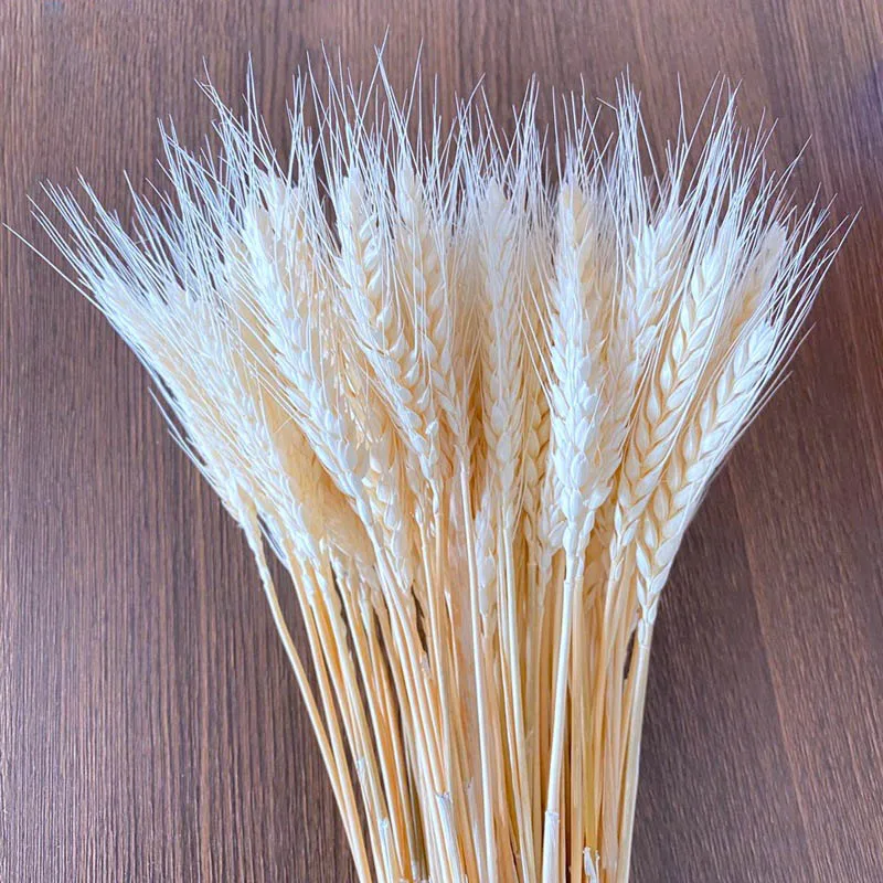 16117949136_179027579