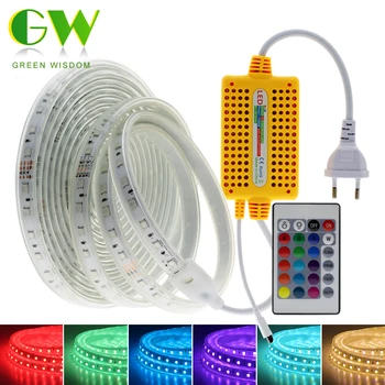 

220V LED Strip RGB 2835/5050 Neon Ribbon with Remote Controller Outdoor Waterproof LED Light Strip Landscape Lighting for Garden
