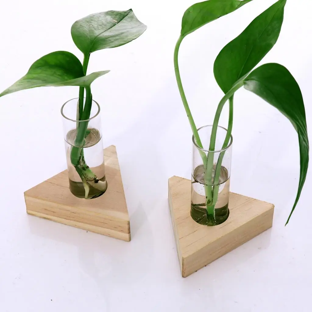 2pcs Planter Test Tube Flower Bud Vase Tabletop Glass Pots in Wooden Stand