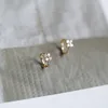 Stud Earring