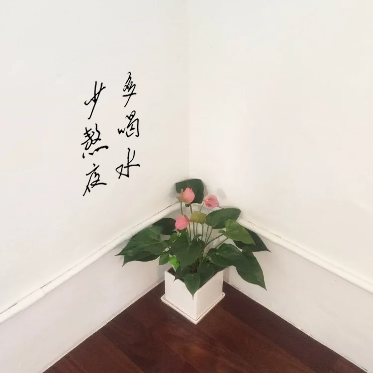 Drink Plenty of Water Less Stay up Personalized& Creative Novel Simple Korean Style Proverbs Decoration Waterproof Sticker Pain