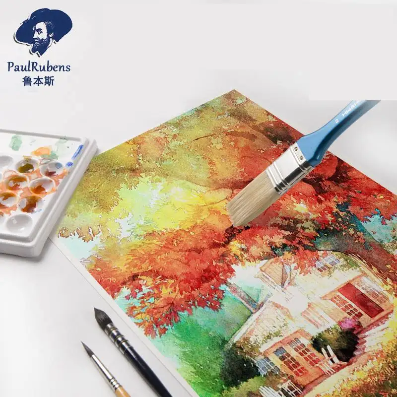Paul Rubens 50% Cotone 300g/m2 Carta da Acquerello Colori A Acqua Carta Per Il disegno Pittura Studente Pratica Rifornimenti di Arte - immagine 4