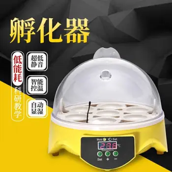 

Small automatic egg incubator for hatching chickens