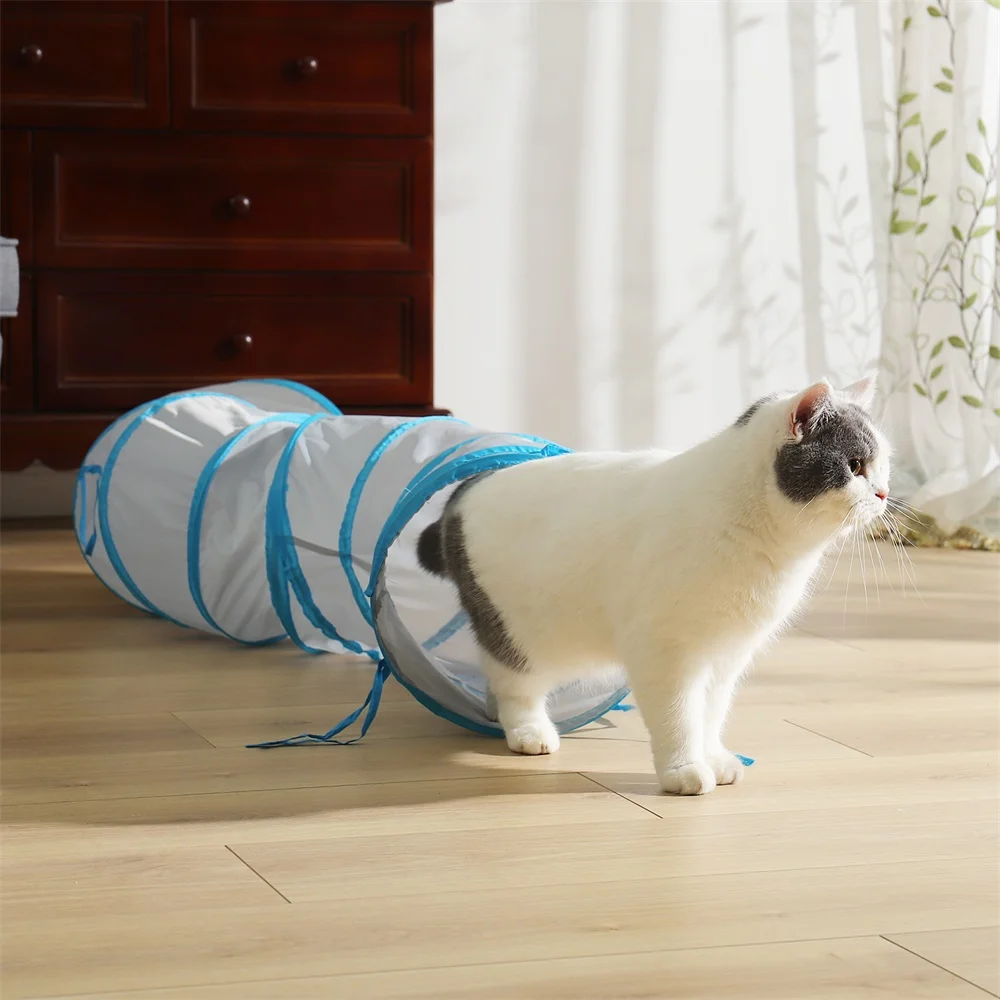 212d60a3-88d8-f9be-8e03-beffd59dc2f5