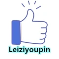 Leizi Super Cool Sticker Store