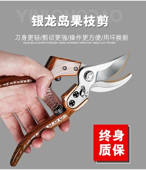 

Free package: horticultural pruning scissors