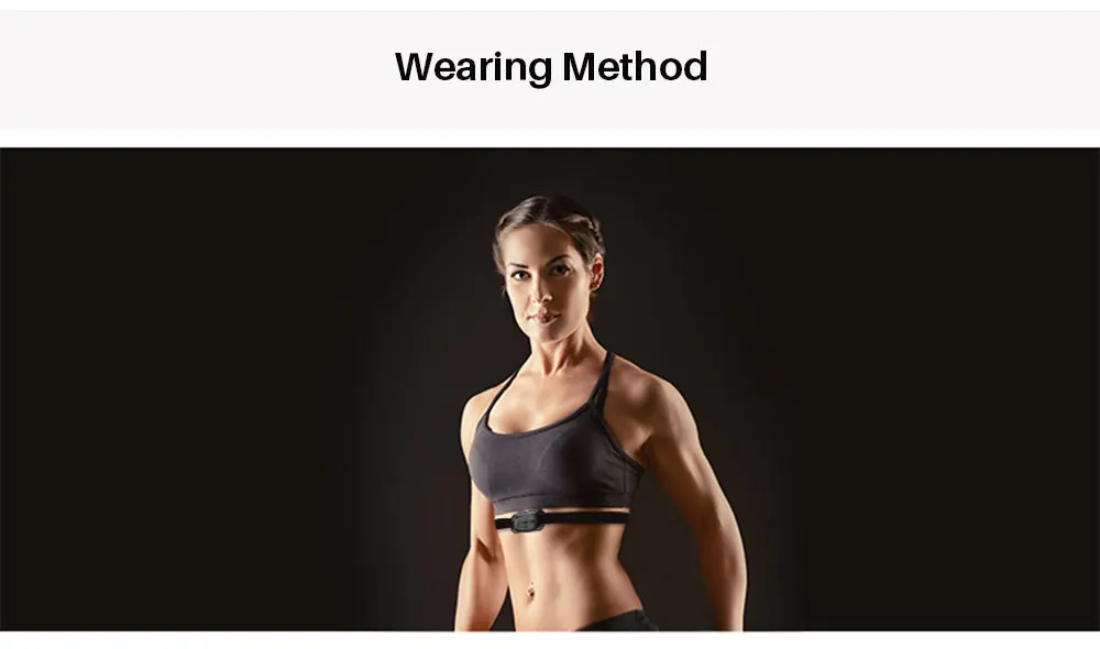 Heart Rate Monitor (12)