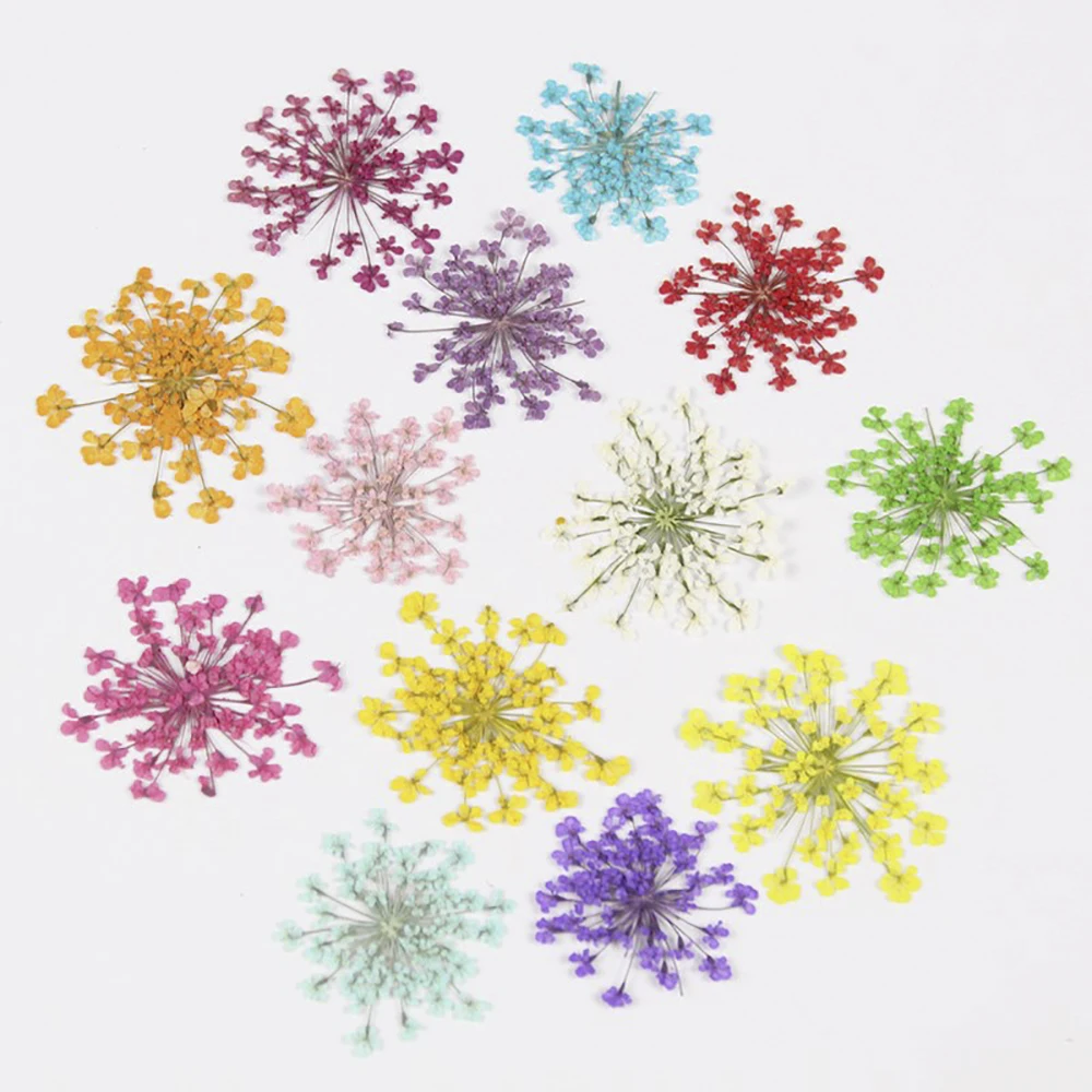 

12pcs Dried Flowers UV Resin Decorative Natural Flower Stickers Dry Plants Nail Art Decals Epoxy Mold DIY Filling Jewelry