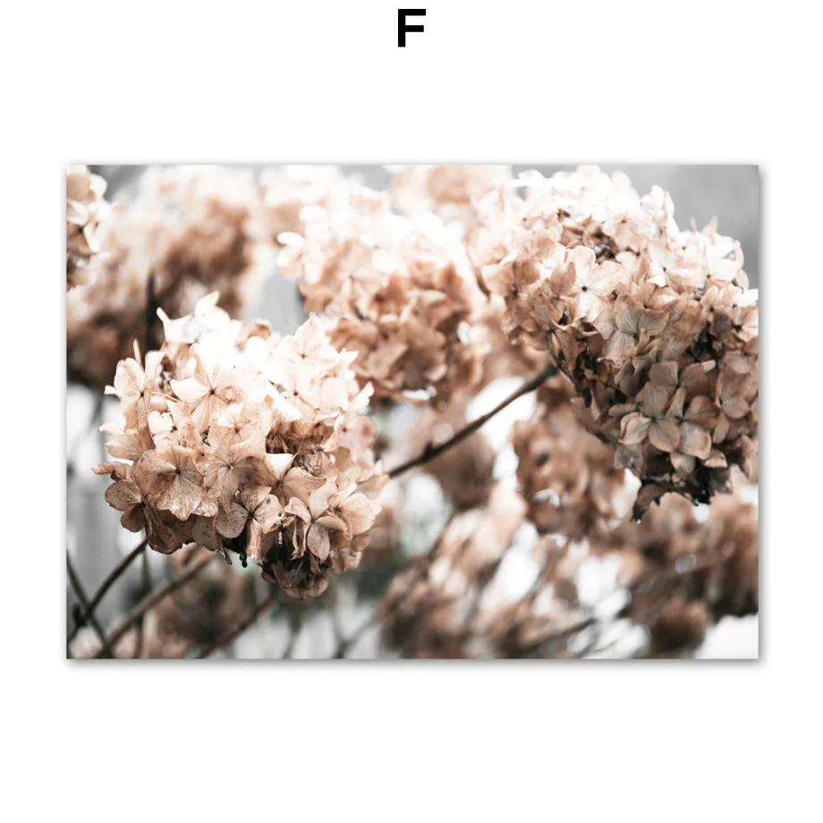 Wall-Art-Canvas-Painting-Natural-Reed-Dandelion-Flower-Leaf-Plant-Quotes-Nordic-Posters-And-Prints-Wall (8)