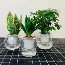 

Self Watering Planter Pots Mini Flowerpot Indoor Succulent Plant Pot Fish Tank Home Tabletop Flower Pot Home Bonsai Decor