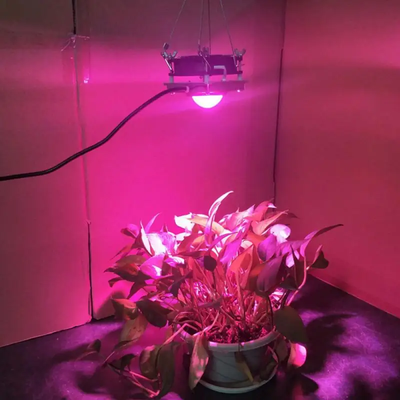 Светодиодный светильник для выращивания растений, 50 Вт, полный спектр COB, фито-лампа для комнатных садовых растений, цветов, гидропоники, теплицы, светильник для роста