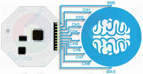 OpenBCI V3 с открытым исходным кодом Arduino EEG мозговой Электрический модуль-8/16 канал-официальная беспроводная версия