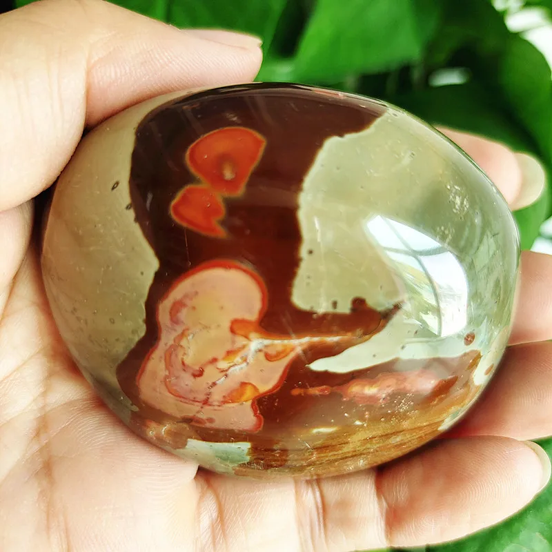

Natural stone Marine palm healing crystals Decorative collection stones and crystals
