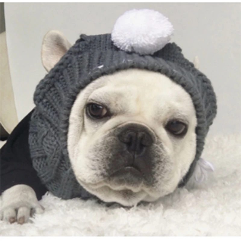 Ранняя весна новые аксессуары для собак корейская шляпа для собак модная индивидуальная теплая шапочка для домашних собак