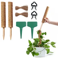 

Plant Climbing Support Stick Set Coir Moss Totem Pole Plant Extension Support Creeper Climb Pole Plant Care Accessories