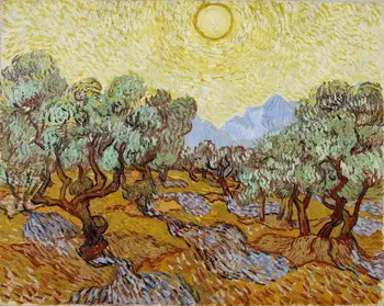 

Van Gogh Olive Trees Minneapolis Institute Art Print Poster grandes para pared oil paintings canvas For Home Decor Wall Art