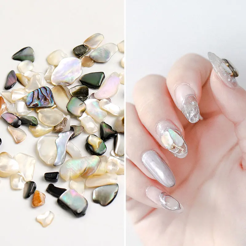 HNUIX 1 Box Shell Stone Nails Art Glitter for Nail UV Gel Nail Polish Flakies Decoration Nail Accessories