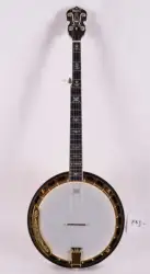 Banjo mandolin Feeling музыкальный инструмент westen инструмент OEM обслуживание настраиваемый FBJ-18