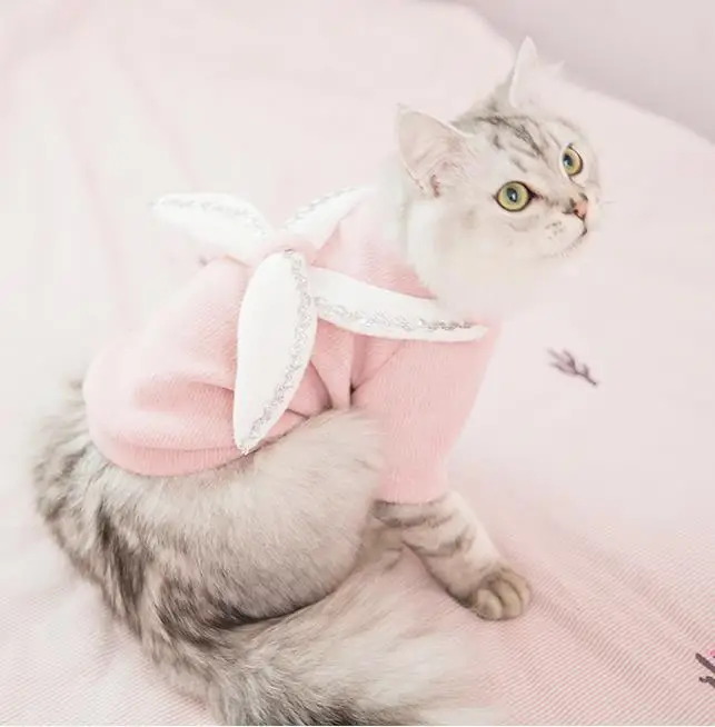 Pink Зимняя теплая одежда для домашних животных для маленьких и средних кошек, крылья ангела, вязаные костюмы со свитером, пальто для котят, куртка для домашних животных, одежда для кошек и собак - Color: Pink