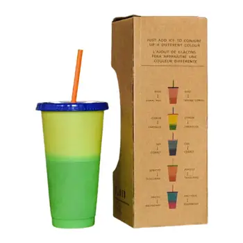 

Double-walled Ice Cold Drink Travel Mug Coffee Juice Tea Cup With Straw Reusable Smoothie Plastic Iced Tumbler PlasticIced Tumb