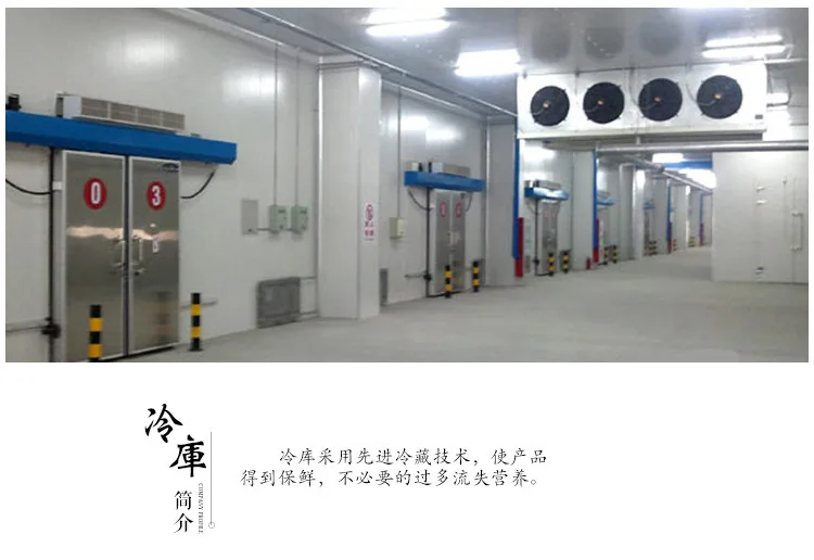 3582083764_1977327249