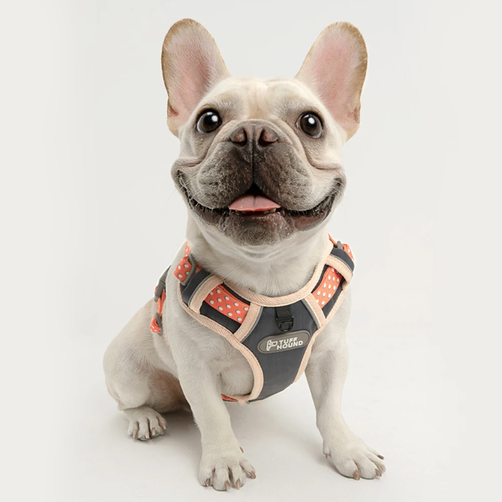 2019 Новый поводок для собак Регулируемый взрывозащищенный нейлоновый нагрудный