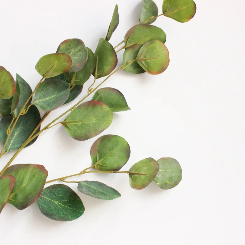 

Single Stem France Circle Eucalyptus Leaves Imitation Flowers Green Vegetation with Leaves AliExpress Amazon Supply of Goods
