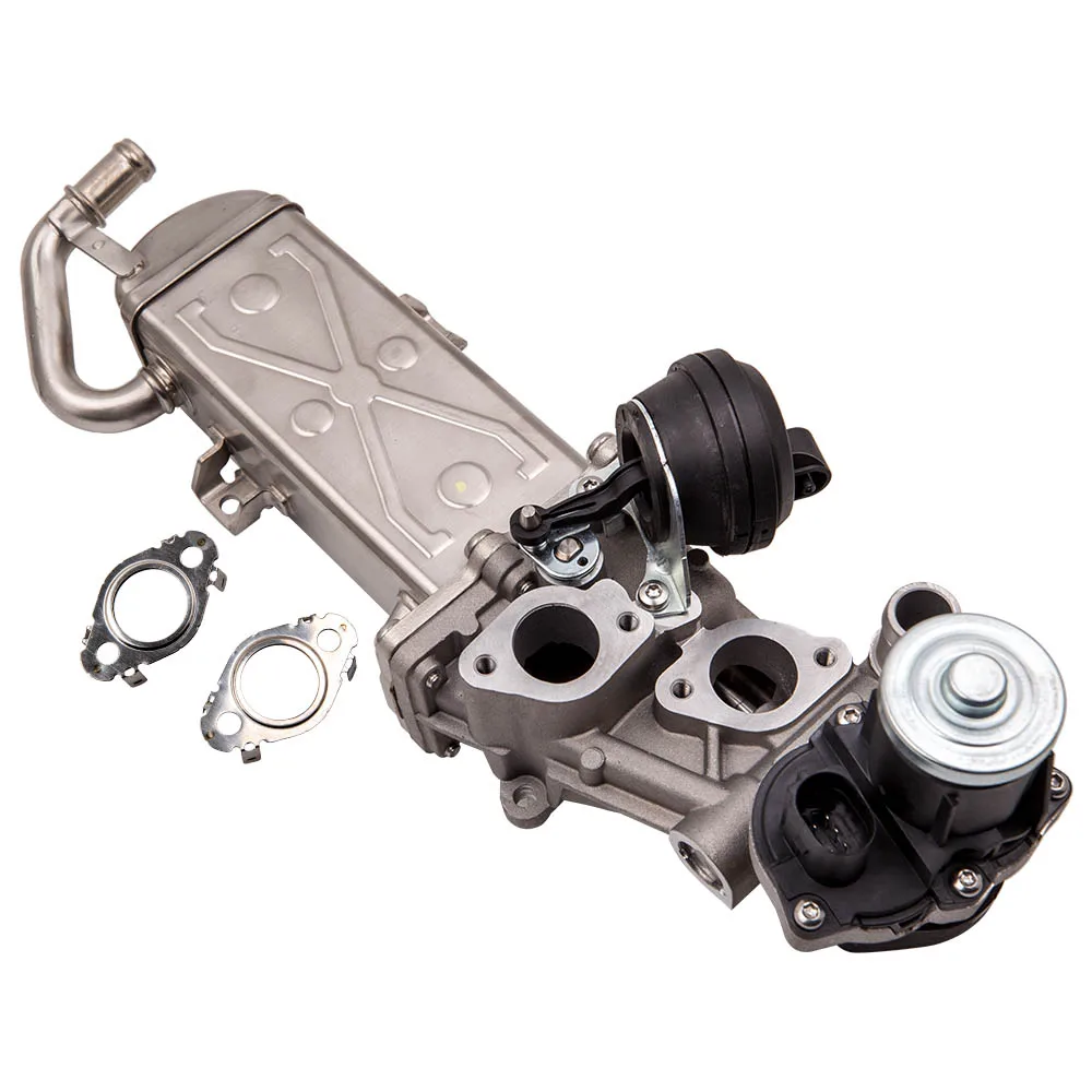 AUDI VW SEAT SKODA 1.6 2.0 TDI vanne egr Refroidisseur Kit Réparation Gears Cog 03L131512 
