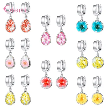 

Original Real S925 Sterling Silver 8 Styles Colorful Flower Clear Crystal Drop Earrings For Women Girls Fashion Jewelry Hot Sale