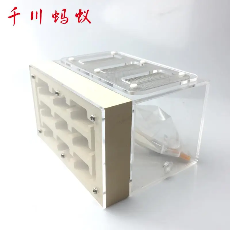 

Gypsum & Acrylic Ants Nest Ants Farm 15*12*90mm With Feeding Area For Big Ants Big Colonies
