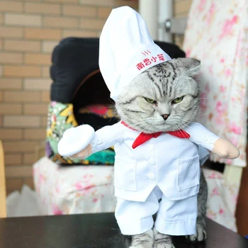 

Pet Dog Clothes for Dog Soft Summer Cute Pet Dog Cat Clothes Fun Fancy Costume Puppy Chef Uniform Coat Pet Supplies BJStore