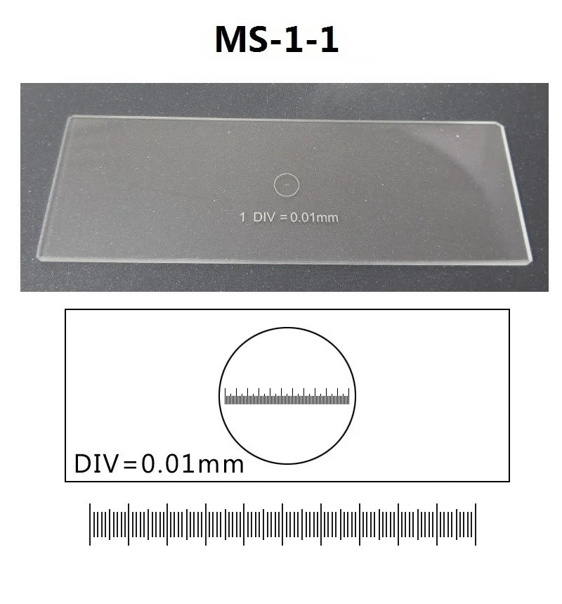 Microscope Glass Slides Calibration Reticle Ruler